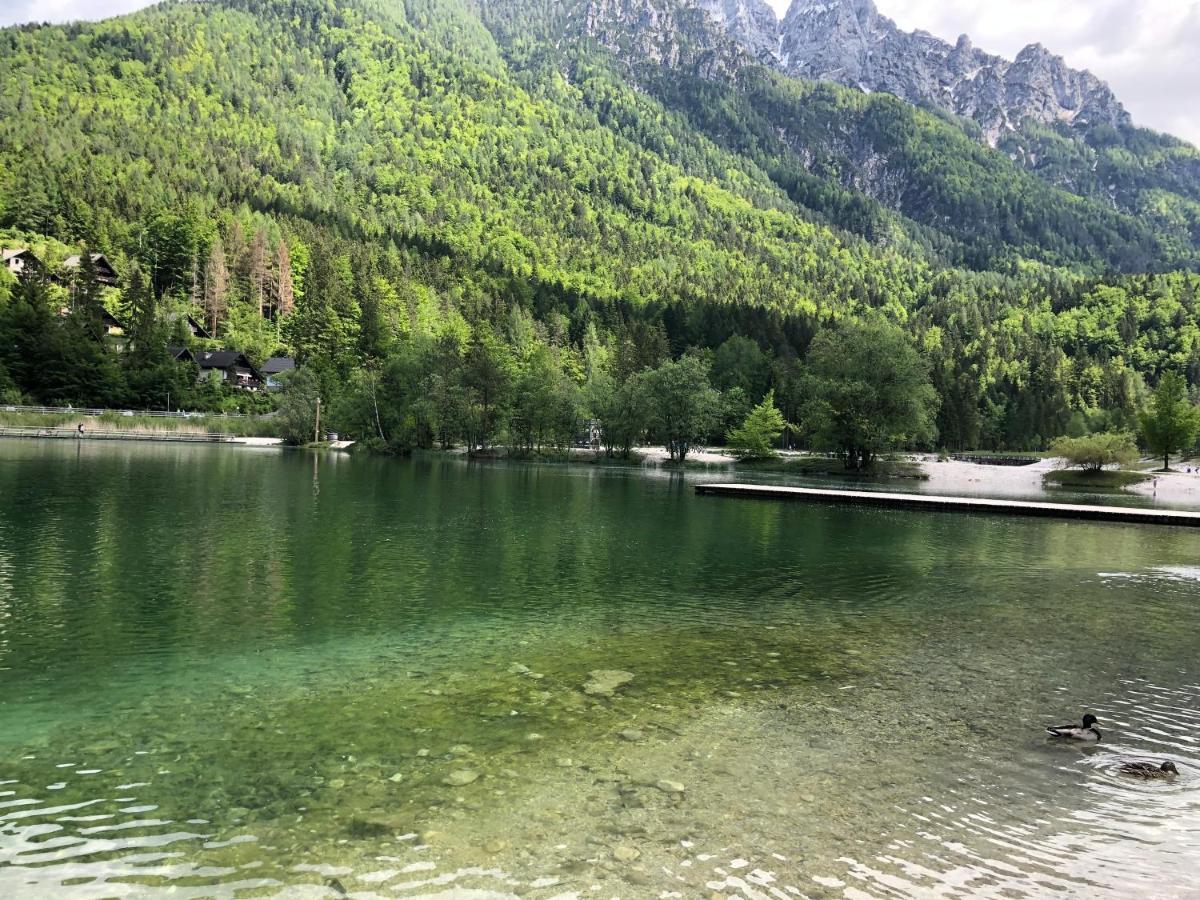 Vila Mojca Apartma Peridot - Center Kranjska Gora Exterior photo
